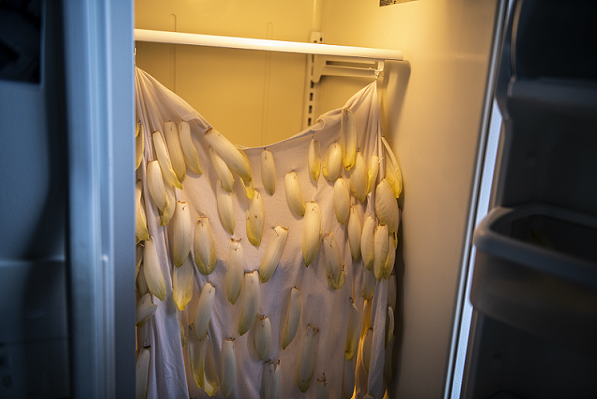 photo de l'installation chiconnade